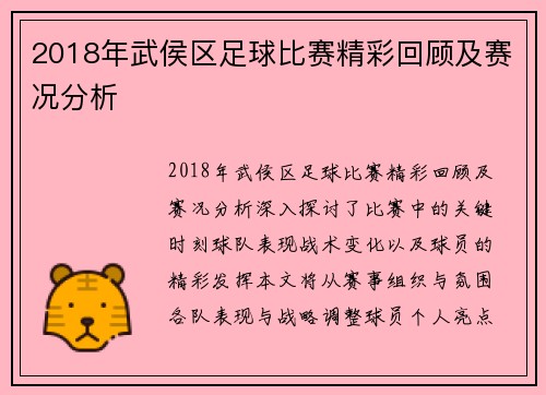 2018年武侯区足球比赛精彩回顾及赛况分析