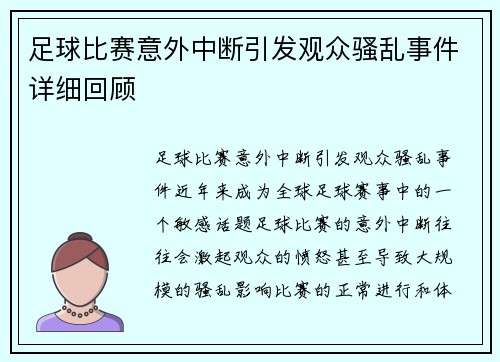 足球比赛意外中断引发观众骚乱事件详细回顾