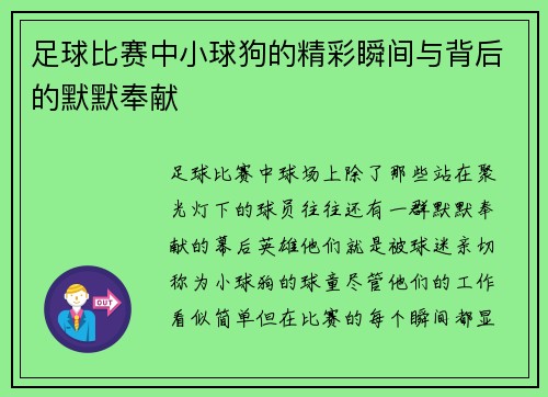 足球比赛中小球狗的精彩瞬间与背后的默默奉献