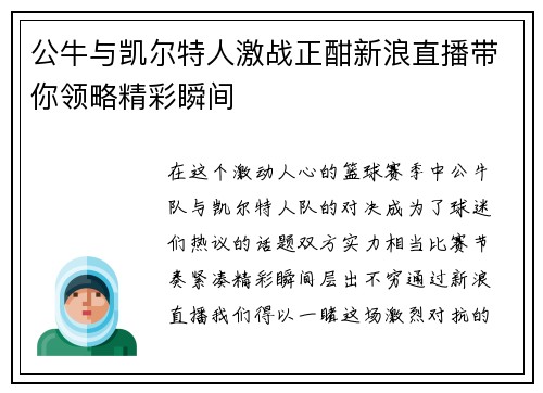 公牛与凯尔特人激战正酣新浪直播带你领略精彩瞬间